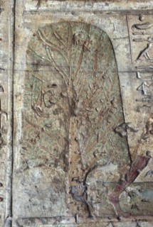 El Kab, Tomb of Paheri, Farming scenes