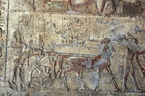 El Kab, Tomb of Paheri, Driving a horse-drawn chariot
