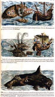 Conrad Gesner, Manuscrit "Historiae animalium", livre II : "Quadrupedipus oviparis"