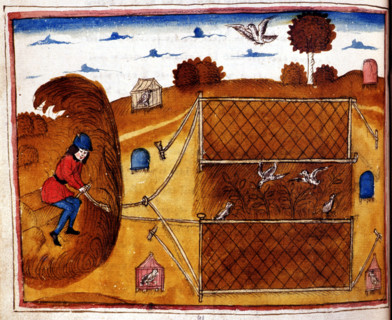 Manuscrit. Henry de Ferrières, "Le livre du Roy Modus et de la Royne Ratio", falconry scene