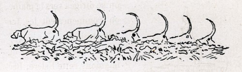 Jules Verne, "Dix heures en chasse", illustration
