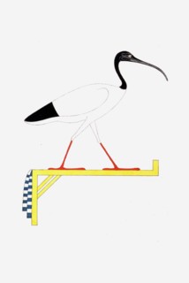 L'Ibis, emblème vivant de Thoth
