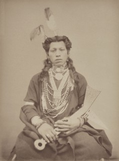Portrait of 'Red Indian' White Swan
