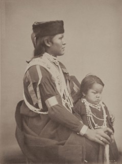 Portrait of 'Red Indian' Cat