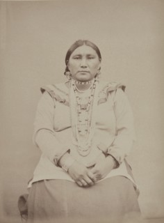 Portrait of 'Red Indian' White Cow