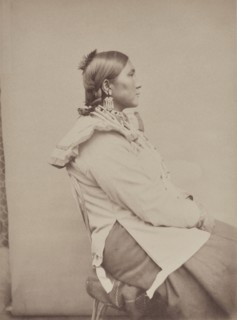 Portrait of 'Red Indian' White Cow