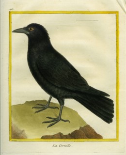 La Corneille