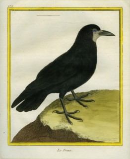 Le Freux