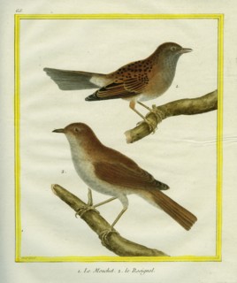 Le Mouchet et le Rossignol
