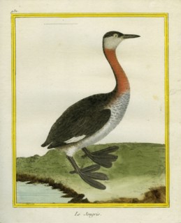 Le Jougris