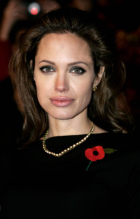 Angelina Jolie, novembre 2007
