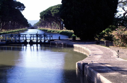 Sallèles d'Aude, junction canal, cypresses and umbrella pines