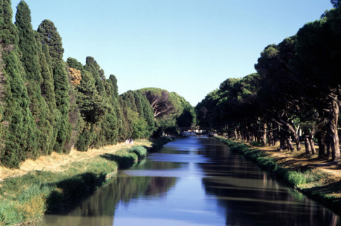 Sallèles d'Aude, junction canal, cypresses and umbrella pines