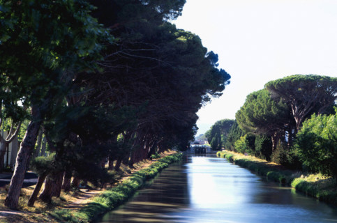 Sallèles d'Aude, junction canal, cypresses and umbrella pines