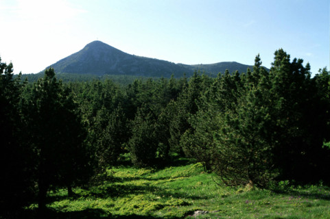 Vue de la croix de Peccata en direction du mont Mézenc