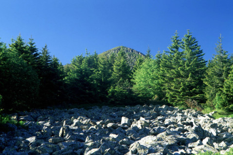 View from the D274 road towards Mont Mézenc