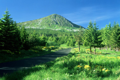 View from the D274 road towards Mont Mézenc