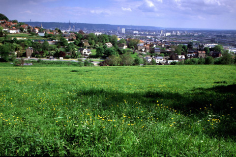 Vue du haut du vallon nord, en contrebas du Centre Universitaire, en direction de Rouen