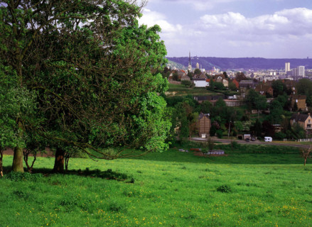 Vue du haut du vallon nord, en contrebas du Centre Universitaire, en direction de Rouen