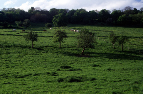 View from the path of the Fond du Val towards the University