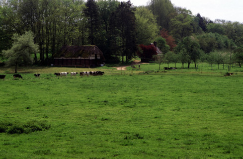 Sainte-Geneviève en Caux, château des Etangs, bâtiments du domaine