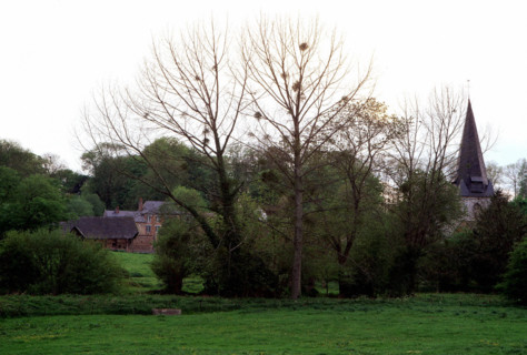 Lammerville, vue depuis le D270