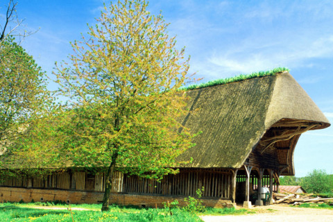 Sainte-Geneviève en Caux, château des Etangs, grange batelière