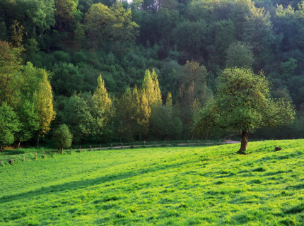 View from the D5 road towards La Poucheterie