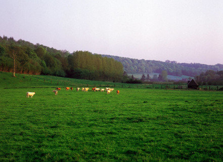 Vue depuis l'intersection D289-D5 en direction de la Folletière
