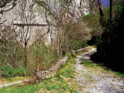 La Mâture path seen from the access road to the Fort