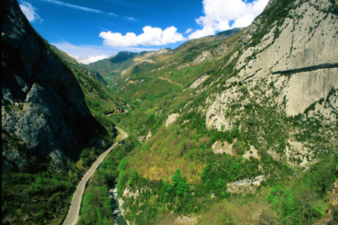 Partie nord du site, vue de la route d'accès au fort