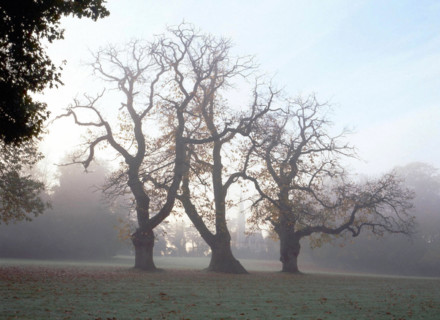 Park of the Château de la Chanterie