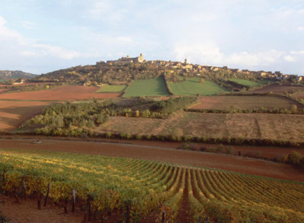 Vue de la route d'Asquins à la D36 en direction de Vézelay