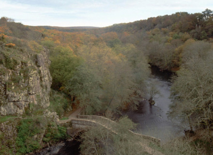 Vue du pont de la D353, entre Pierre-Perthuis et Précy-le-Moult, en direction du sud, l'ancien pont de Pierre-Perthuis et la Cure
