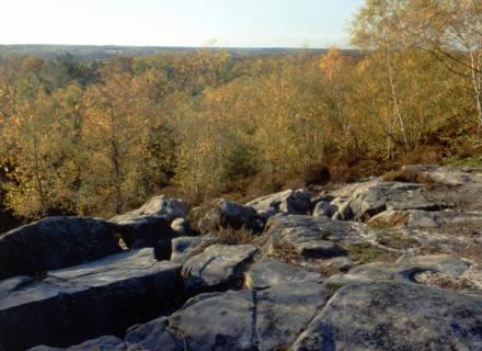 Bois de Montlognon, les Bruyères de Frais Vent