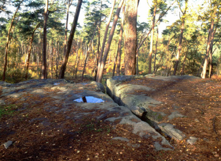 Bois de Perthe, parcelle 262, Pierre Sorcière