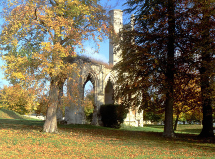 Domaine du château de la Victoire, ruines de l'abbaye