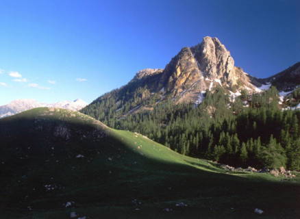 Vue des Partias en direction de la Roche Jaune