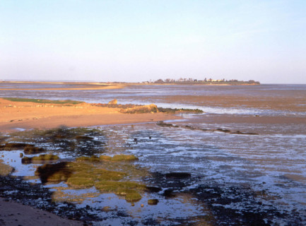 View of the shore of Port des Barques towards the island