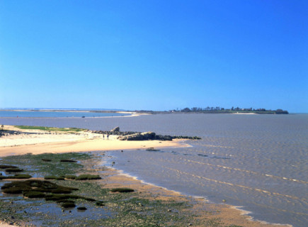 Vue du littoral de Port des Barques en direction de l'Ile