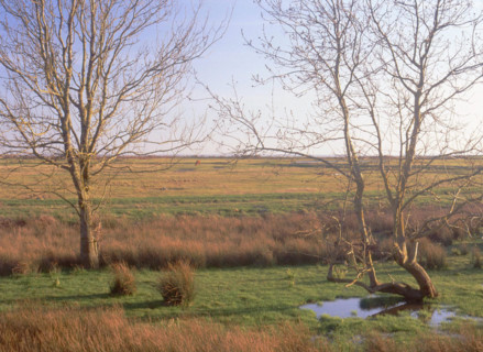 View from the northern road, below the old fort, towards the South