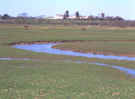 View from the southern point of the southern road towards the old fort