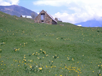 Plateau de Saugué, en direction de l'ouest