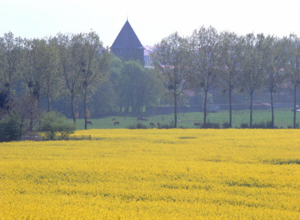 View from the path below Le Haut des Vignes, in the bottom of the valley, towards the château and park