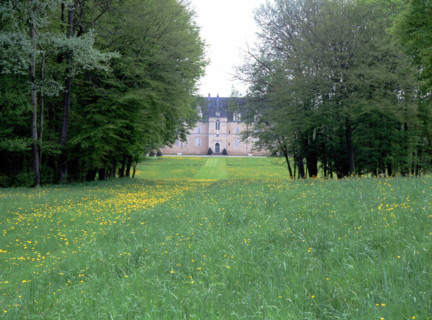 View from the central avenue of the park towards the north façade of the château