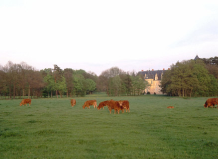 View from the Chemin du Calvaire at Le Haut des Vignes, towards the château
