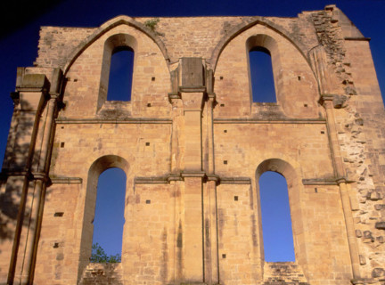Hamlet of Cherlieu, the abbey  ruins