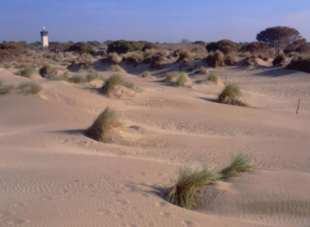 Environs of Espiguette lighthouse