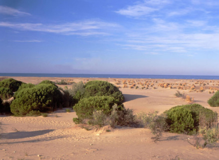 Environs of Espiguette lighthouse