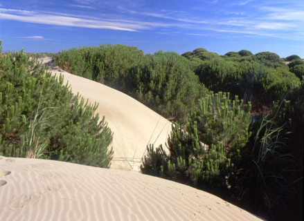 Environs of Espiguette lighthouse
